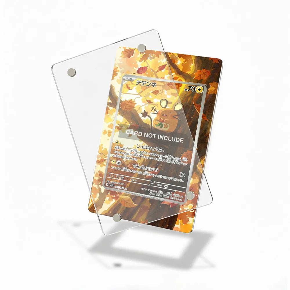 Dedenne AR IR Nihil Zero Perfect Order Extended Art Display Cases