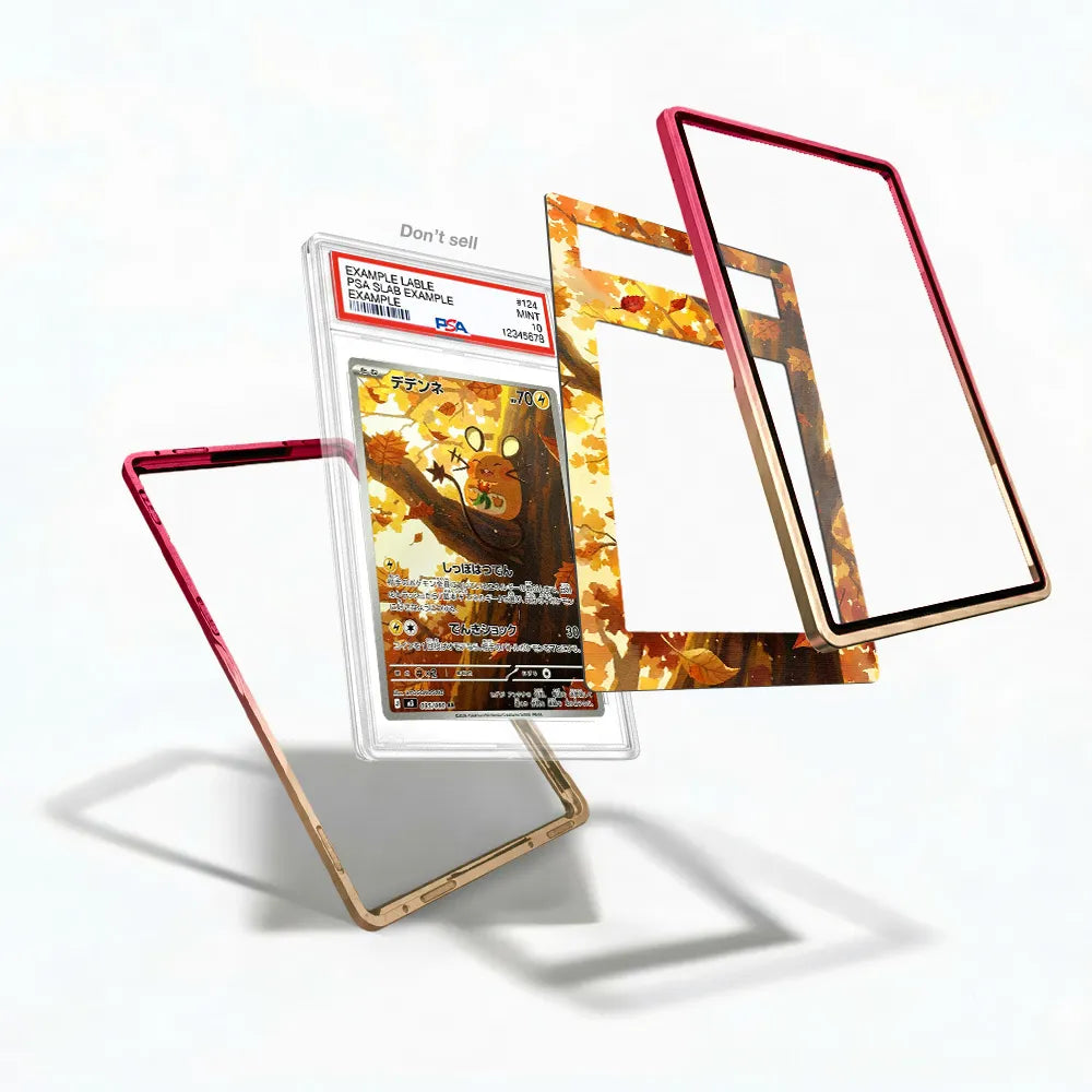 Dedenne AR IR Nihil Zero Perfect Order Extended Art Display Cases