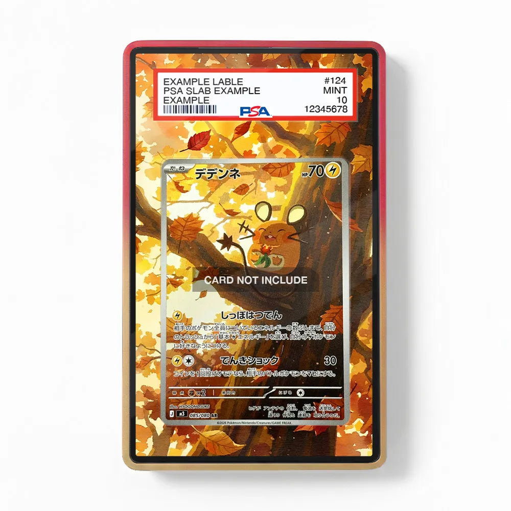 Dedenne AR IR Nihil Zero Perfect Order Extended Art Display Cases
