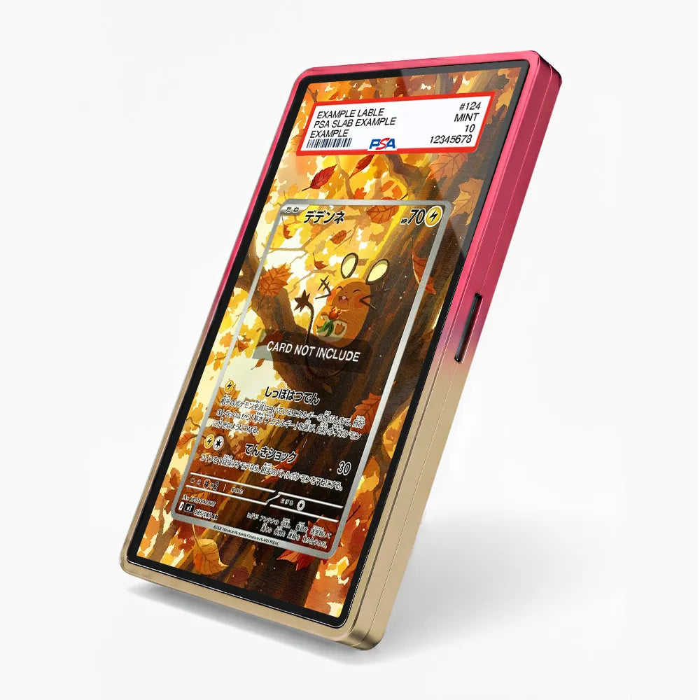 Dedenne AR IR Nihil Zero Perfect Order Extended Art Display Cases