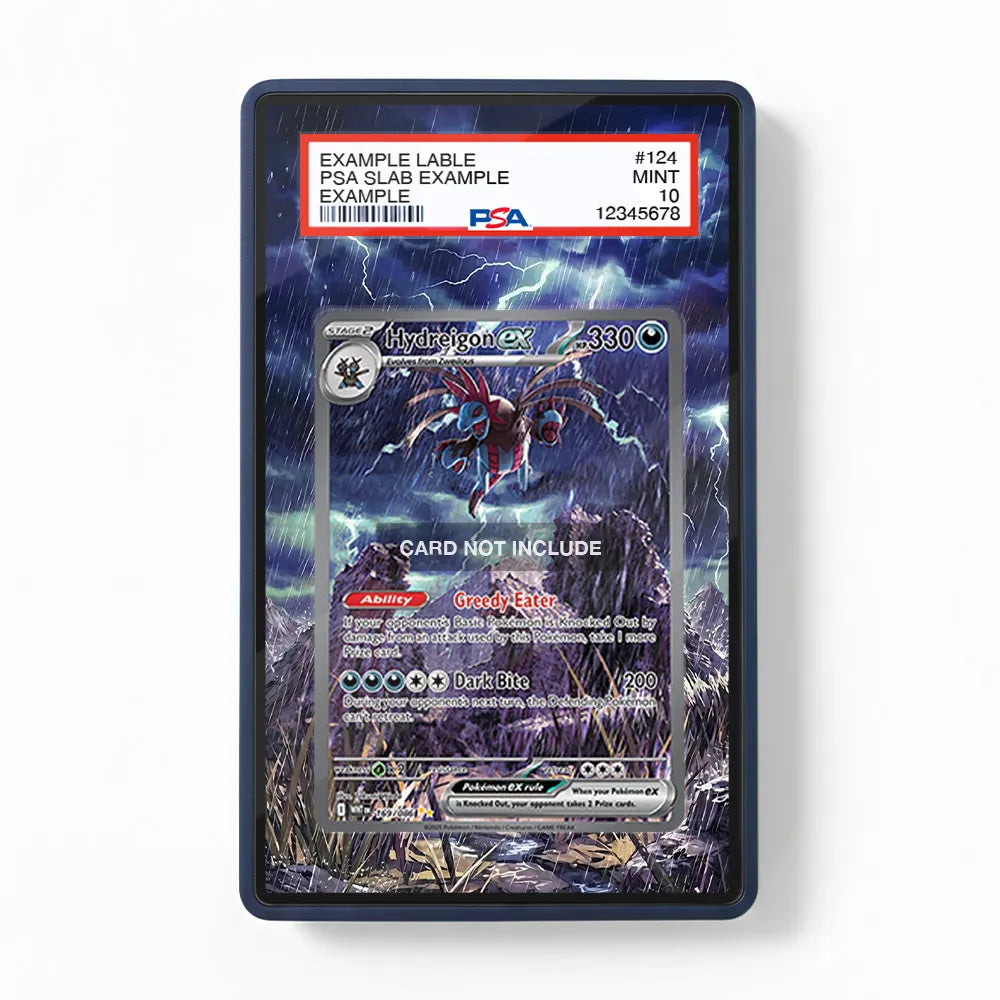 Hydreigon ex 169-086 SIR SAR White Flare Extended Art Display Cases