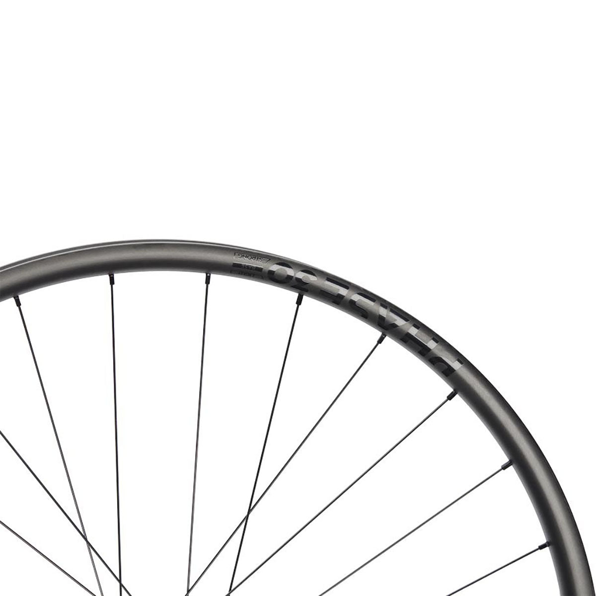 NEWMEN Front Wheel Phase 30 - Base 29" 28h FADE SP 6B 15x110 - Trail