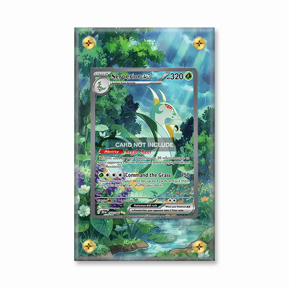 Serperior ex 164-086 SIR SAR Black Bolt Extended Art Display Cases