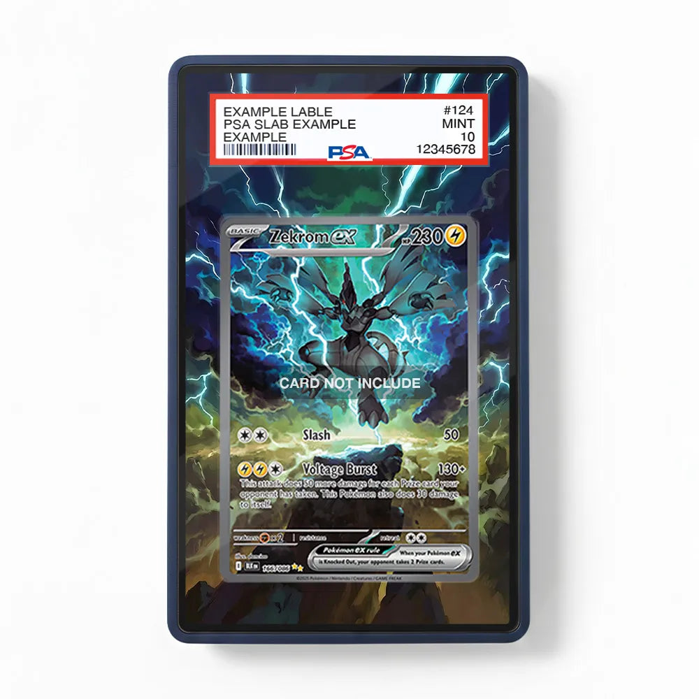 Zekrom ex 166-086 SIR SAR Black Bolt Extended Art Display Cases
