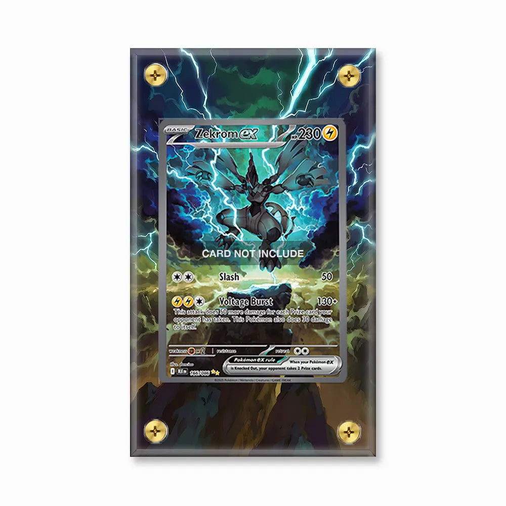 Zekrom ex 166-086 SIR SAR Black Bolt Extended Art Display Cases