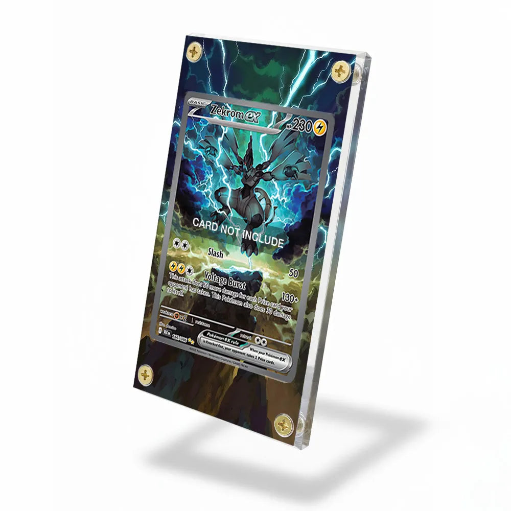 Zekrom ex 166-086 SIR SAR Black Bolt Extended Art Display Cases